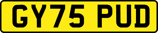 GY75PUD