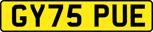 GY75PUE