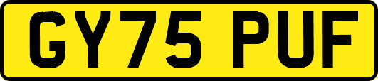 GY75PUF