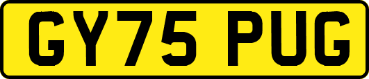GY75PUG