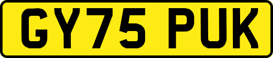 GY75PUK