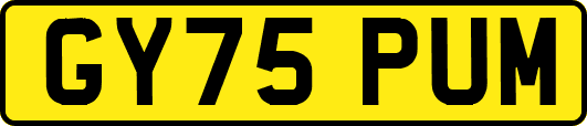 GY75PUM