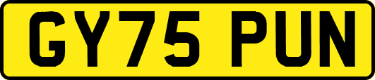 GY75PUN