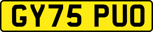 GY75PUO