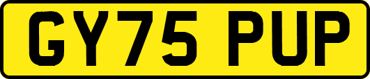 GY75PUP