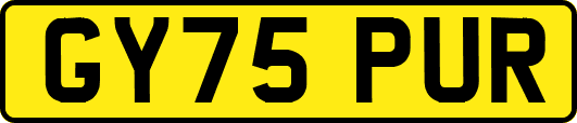 GY75PUR
