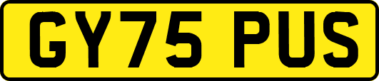 GY75PUS
