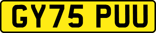 GY75PUU