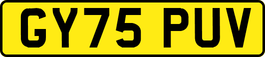 GY75PUV