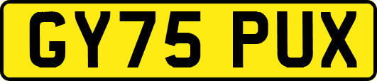 GY75PUX