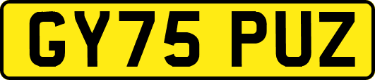 GY75PUZ