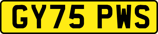 GY75PWS