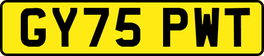GY75PWT