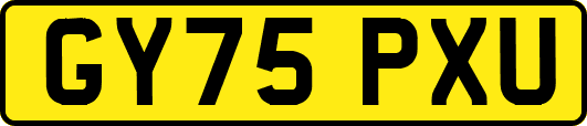 GY75PXU