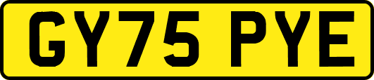 GY75PYE