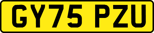 GY75PZU