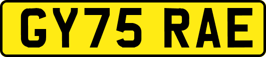 GY75RAE