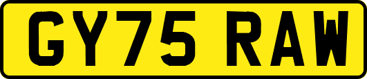 GY75RAW