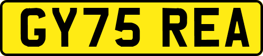 GY75REA
