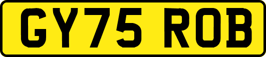 GY75ROB