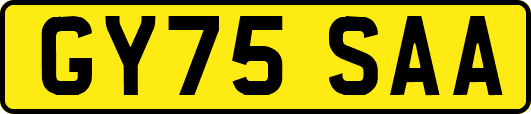GY75SAA