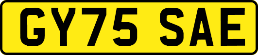 GY75SAE