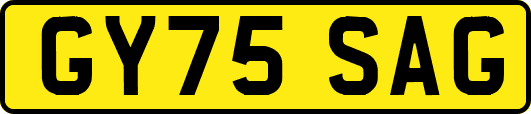 GY75SAG