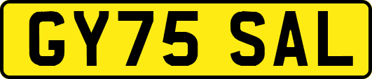GY75SAL
