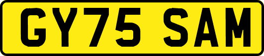 GY75SAM