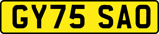 GY75SAO