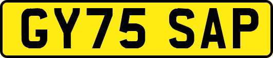 GY75SAP