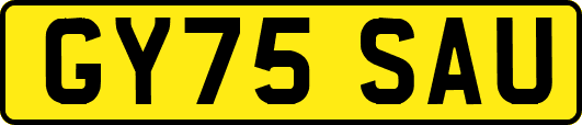 GY75SAU