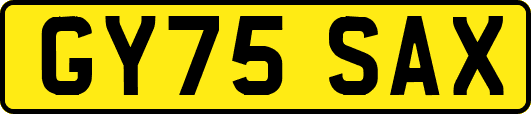 GY75SAX