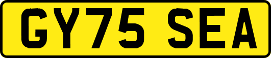 GY75SEA