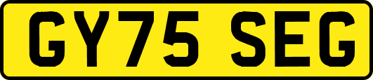 GY75SEG