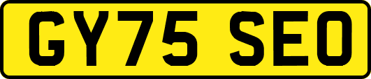 GY75SEO