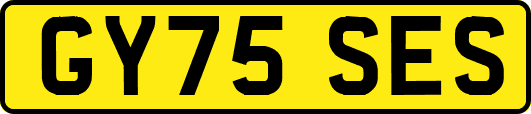 GY75SES