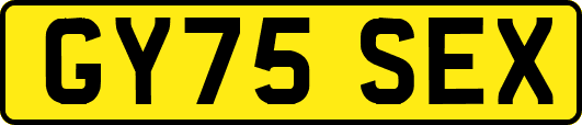 GY75SEX