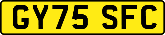 GY75SFC
