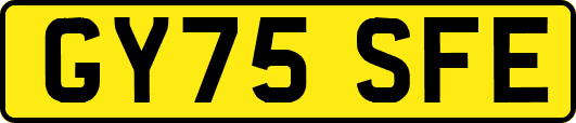 GY75SFE