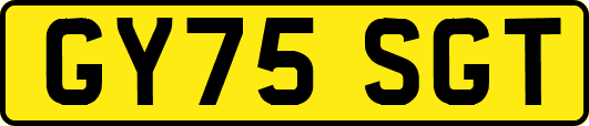 GY75SGT