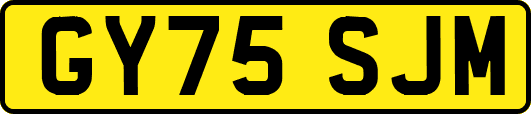 GY75SJM