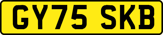 GY75SKB