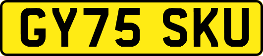 GY75SKU