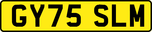 GY75SLM