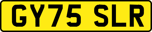 GY75SLR