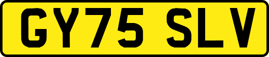 GY75SLV
