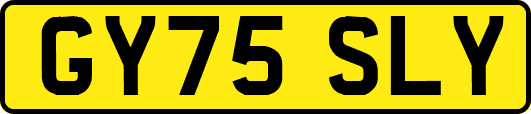 GY75SLY
