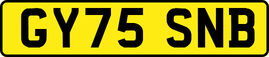 GY75SNB