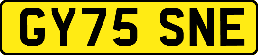 GY75SNE